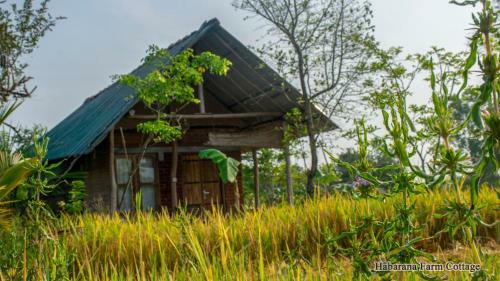 Hotel Habarana Farm Cottage