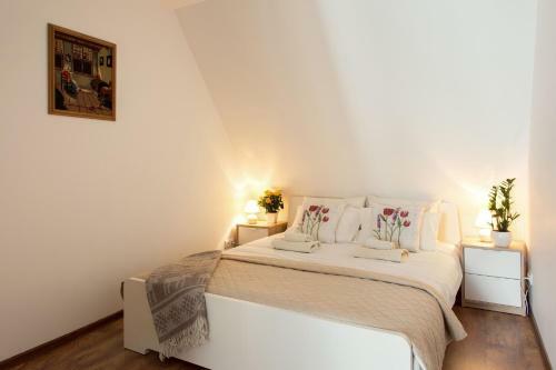 Vokieciu St. Boutique Apartment