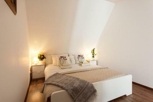 Vokieciu St. Boutique Apartment