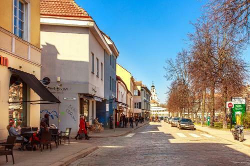 Vokieciu St. Boutique Apartment