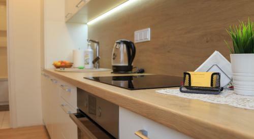 Vip Apartaments - Zalgirio 96