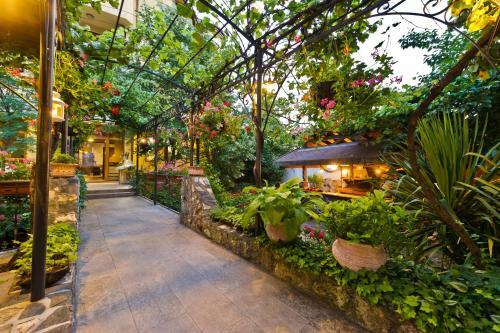 Hotel Edia
