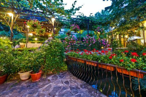 Hotel Edia