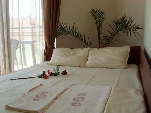 Park Apartments & Rooms Popovi