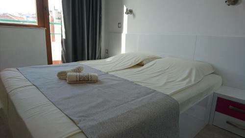 Park Apartments & Rooms Popovi