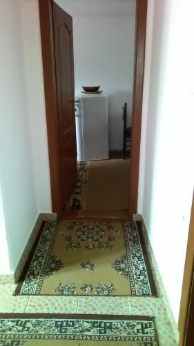 Apartment Bo?ica