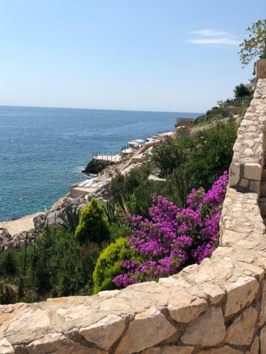 Apartamento Montenegro - South Cross