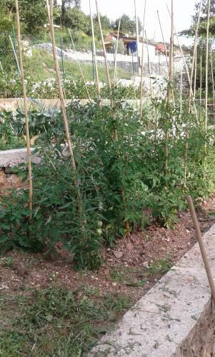 Agroturismo Seosko Doma?instvo Radmila