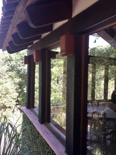 La Galerita De San Sebastian