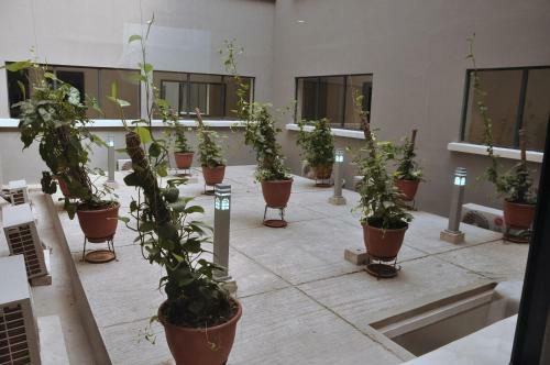 Hotel Golden Tulip Oniru, Lagos