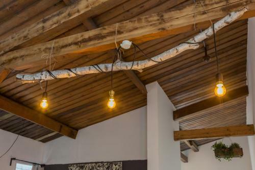 Apartamento Appartement Pleinzicht