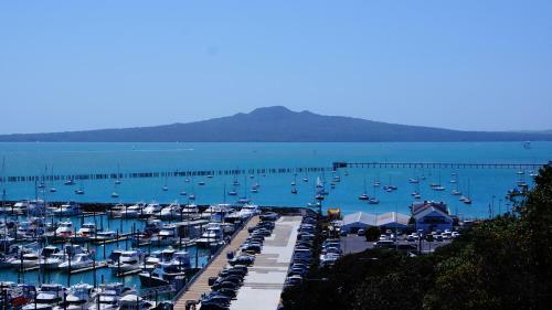 Luxury Mt Eden Apartment With Spectacular Views