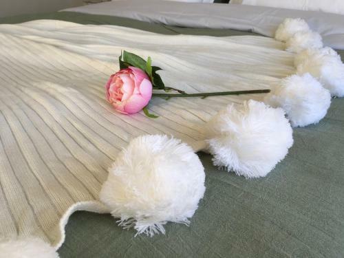 Bed & Breakfast Ot Seaview Villa