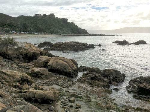 Bed & Breakfast Karaka Bays