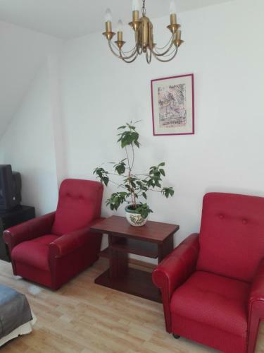 Hostel Madeira