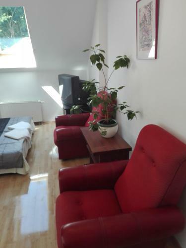 Hostel Madeira