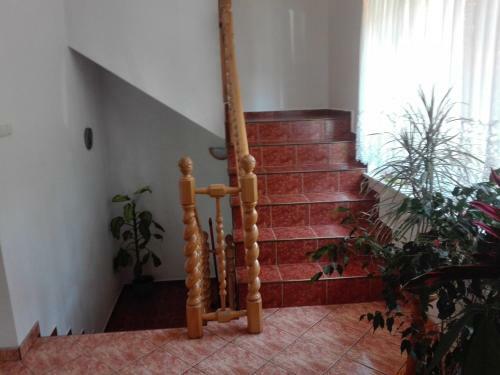 Hostel Madeira