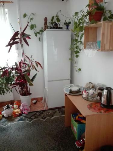 Hostel Madeira