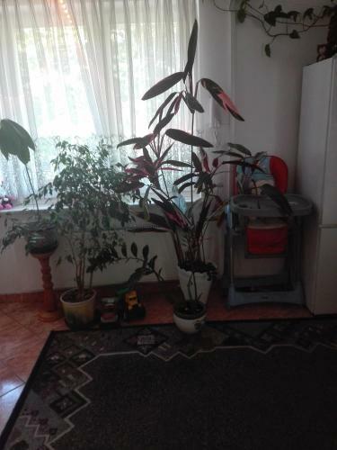 Hostel Madeira