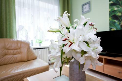 Elite Apartments Ogarna Deluxe Old Town
