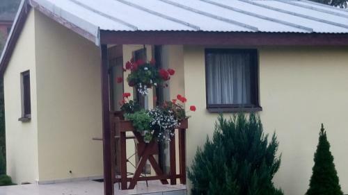 Lodge Domki Letniskowe W Wapnicy
