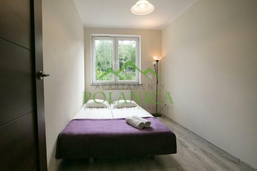 Apartamento Sudety Park - Polanicaapartamenty Pl