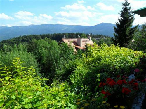 Apartamento Trzy Kultury Z?oty Widok
