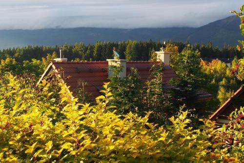 Apartamento Trzy Kultury Z?oty Widok