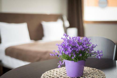 Apartamenty Apartinfo Vela