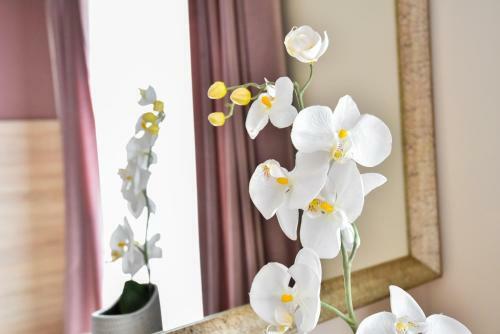 Apartamento Your Home At Coresi Mall