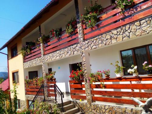 Hostal Pensiunea Dana