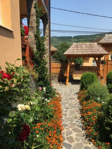 Agroturismo Pensiunea Alina