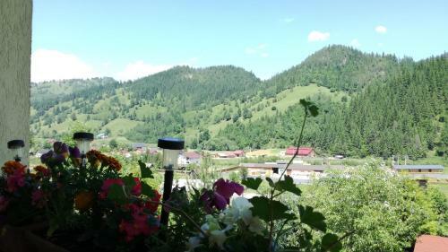 Hostal Flori De Bucovina