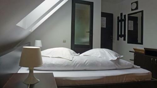 Hostal Sura Pietrei Craiului