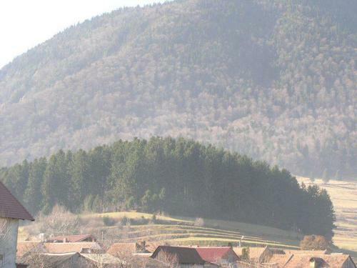 Hostal Sura Pietrei Craiului