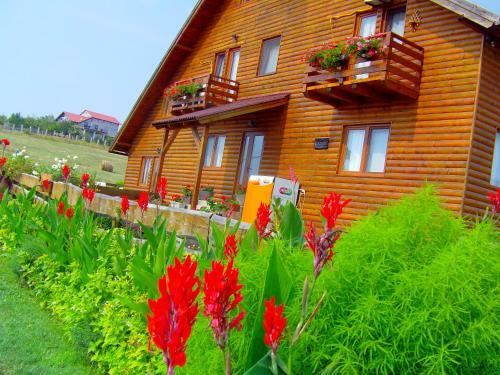 Hostal Vila Altius Felix
