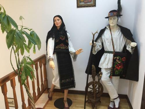 Agroturismo Pensiunea Zana Muntilor