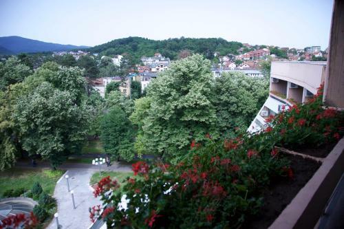 Hotel Medical And Spa Centre Merkur