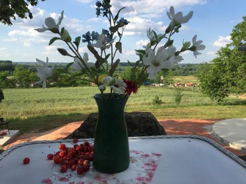 Villa Honey Hill Apartment Fruska Gora