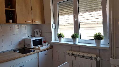 Apartments Spring