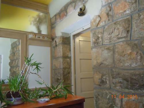 Apartamentos Guest House Pavlovic
