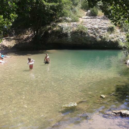 Apartment Pavlovic