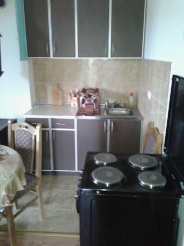 Apartment Pavlovic