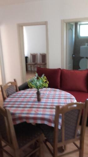 Apartment Pavlovic