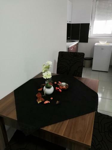 Apartmani Nana Sokobanja