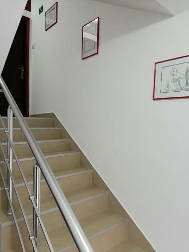 Apartmani Nana Sokobanja