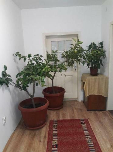 Lenka Apartments
