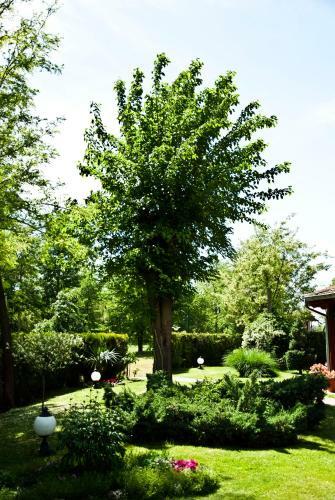 Hostal Vila Dincic