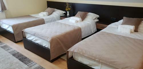 Bed & Breakfast Vila Monix Club Zlatibor