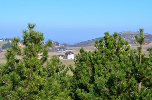 Apartamento Zlatibor Hills Kneginja
